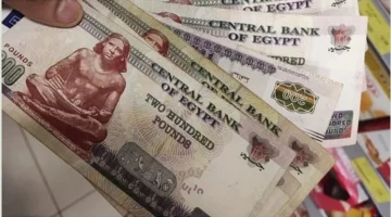 زيادة معاشات التأمينات لحالات التقاعد والعجز والوفاة تبدأ تطبيقها سبتمبر 2025 وتستهدف فئات محددة